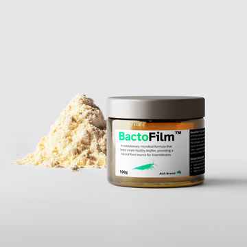 BactoFilm™