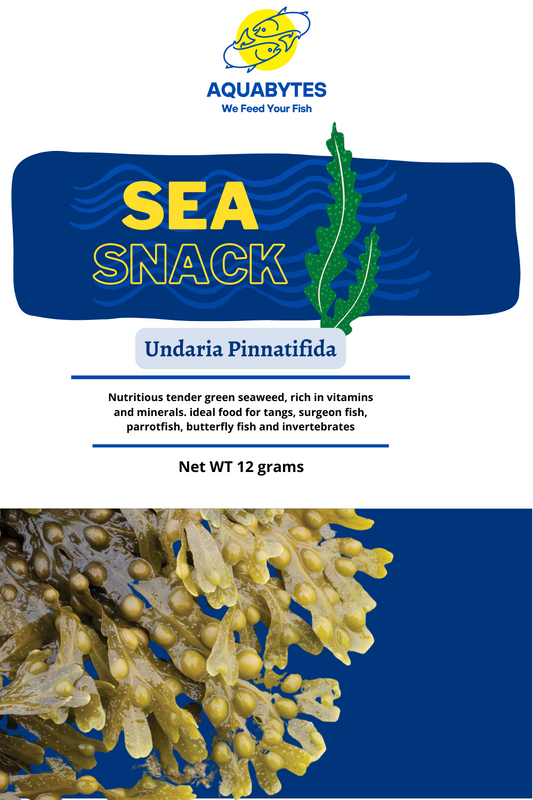Sea Snack - Seaweed Snack for Aquarium Fish