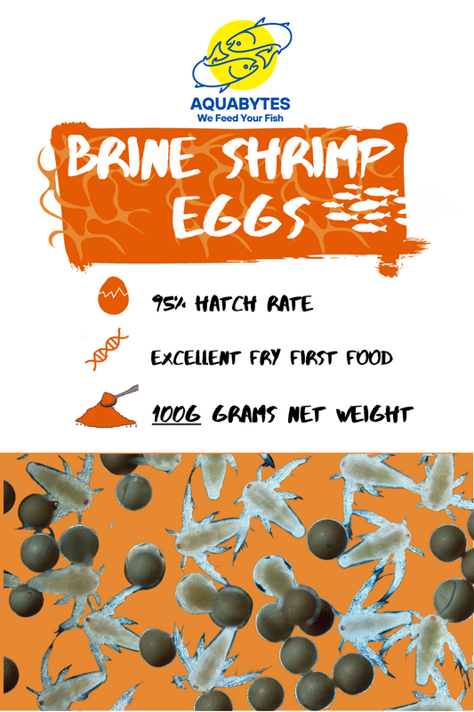 Brine Shrimp Eggs