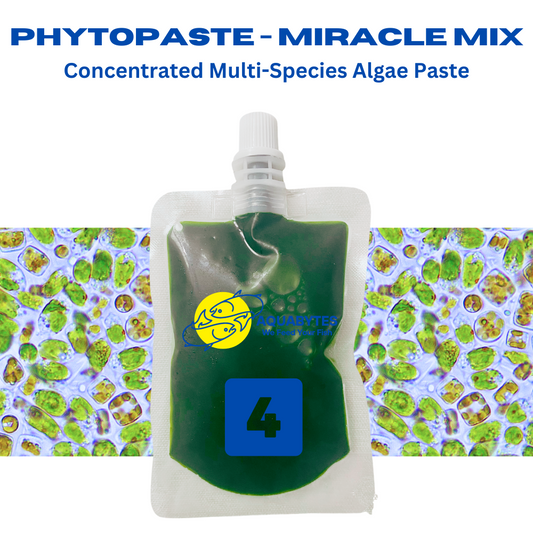 PhytoPaste - Miracle Mix