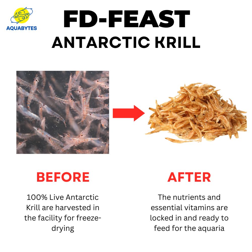 FD FEAST - Freeze Dried Antarctic Krill
