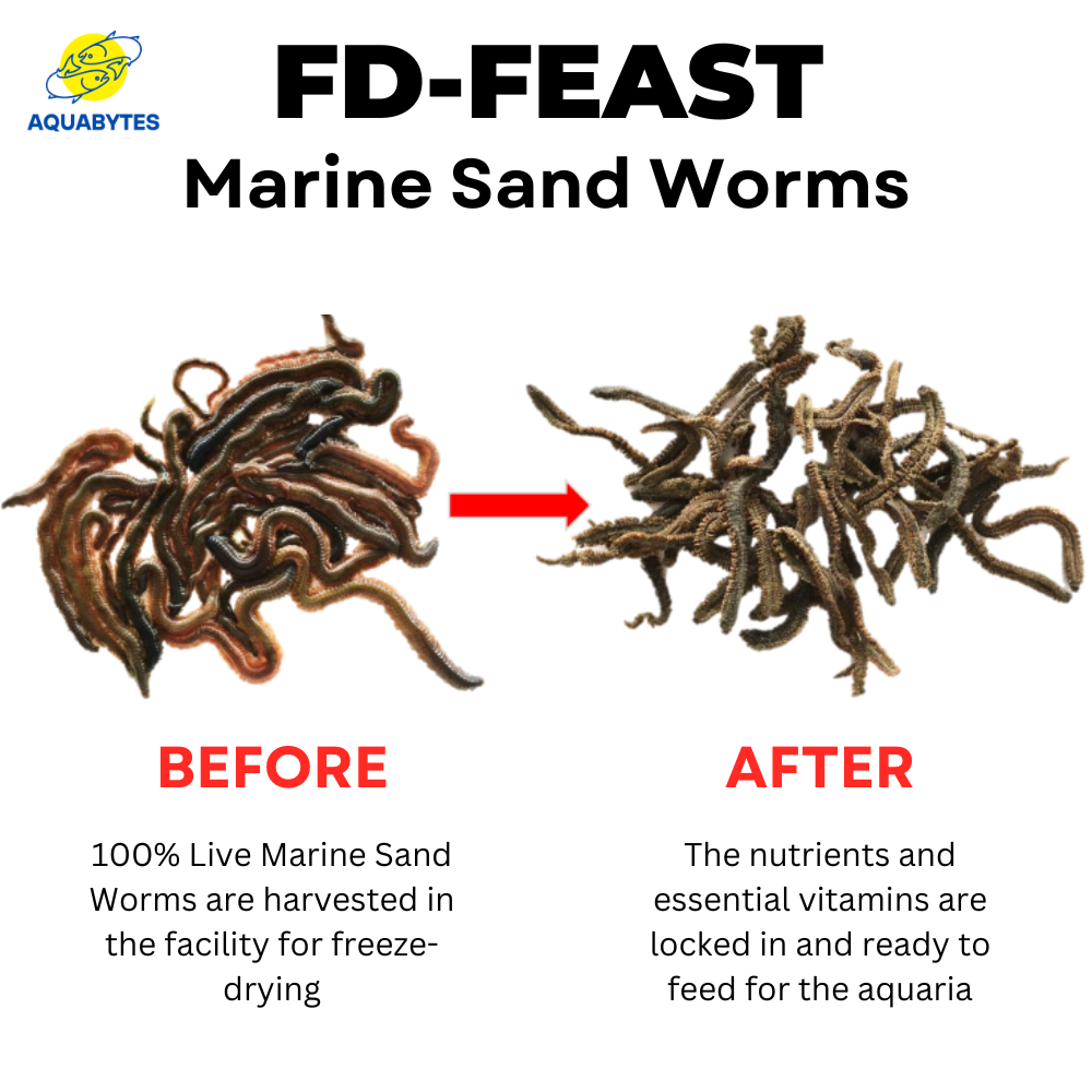 FD FEAST - Freeze Dried Sand Worms